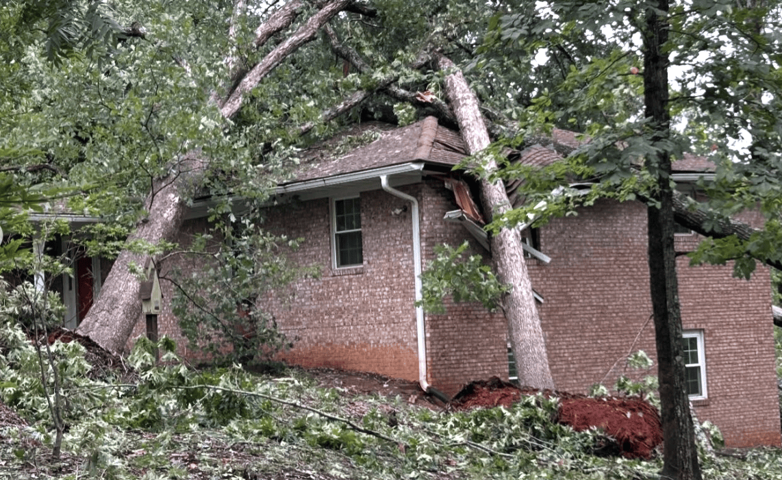 Hurricane Helene Leaves Devastation, SCDR Responds with Hope