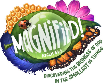 Magnified_logo_color